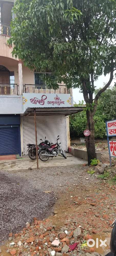 Urgent Cook required at BORSI location