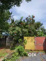 8.50 cent plot for sale