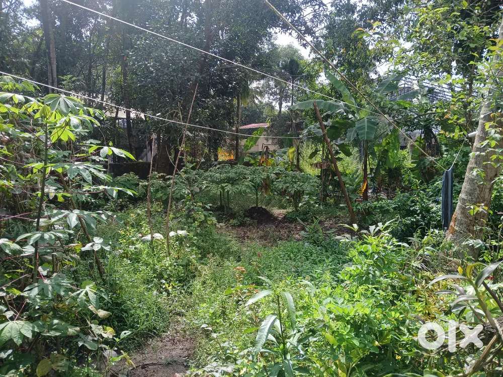 6 cent land sale irimbanam chaithram near