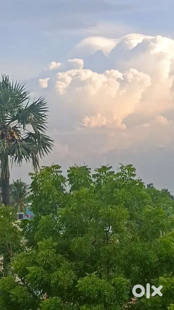 Empty plot for rent in solavaram 2050sqFt