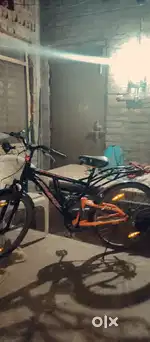 Cycle only one year old