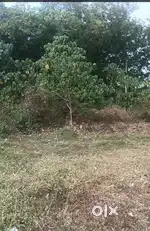 5 Cent Plot Thanikudam
