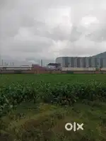 Miyadi land