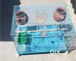 Birds cage for sale
