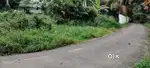 8cent  ചേർത്തല ഒറ്റുന്ന കിഴക്ക് വശം 5 ലക്ഷം ചോദ്യം സെന്റിന്