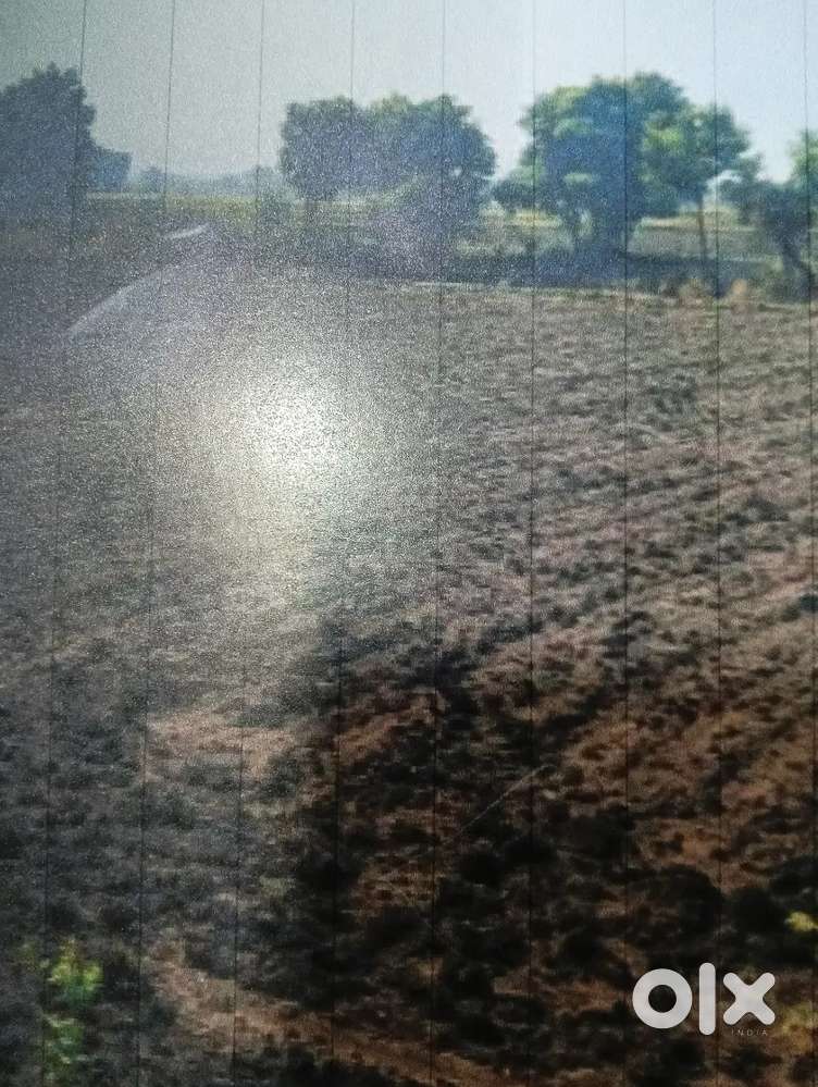 2 Bigha agriculture Land for sale in Dewas @ 50 Lakhs