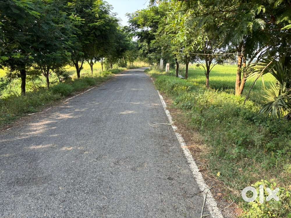 8 Lakh/kattha(9 kattha)Semi-Commercial Investment Plot at Punpun,Patna