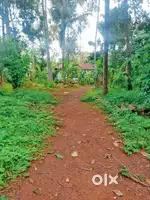 37 Cent Plot opposite to Govt Ayurveda Hospital varkala