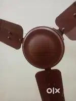Fans for unlimited comfort