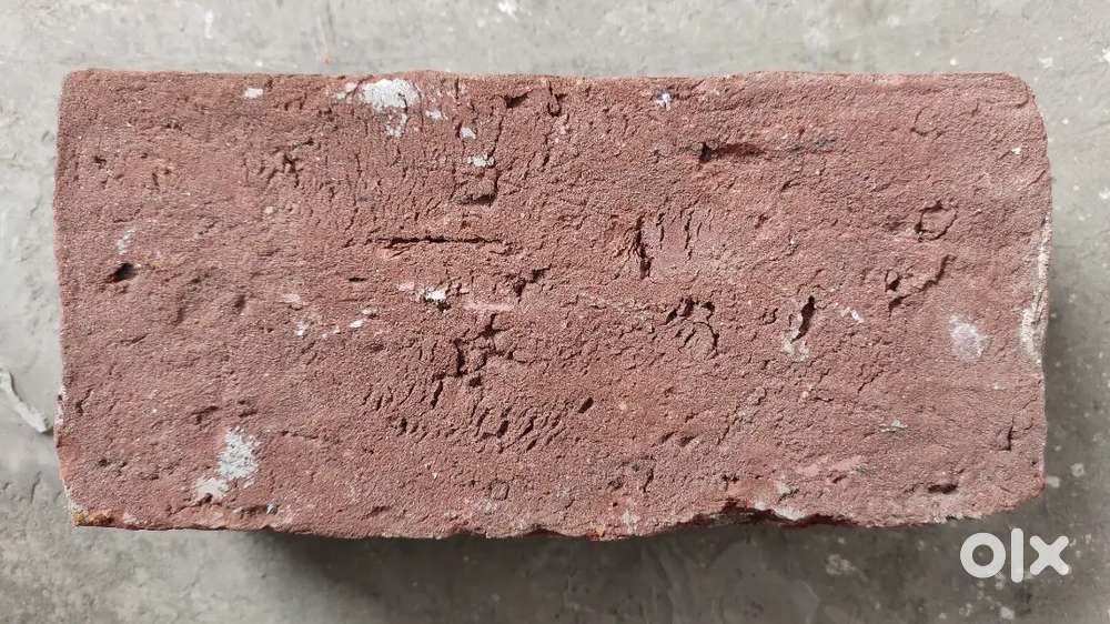 Old Bricks in 4.50 Rs