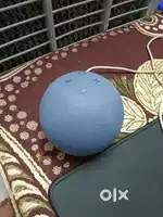Alexa 5th generation