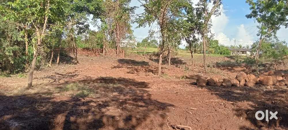 10 cent house plot for sale near PERINGOME town