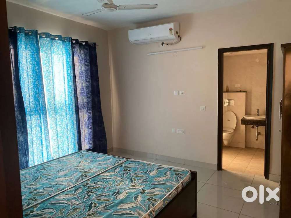 2bhk fully furnished for boys girls family shivalik b town 127 sector