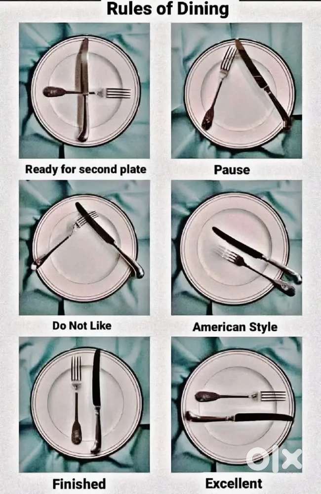 Cook for house
