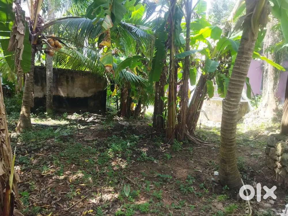 PLOT AND HOUSE FOR SALE IN TRIVANDRUM NEAR MAR IVANIOS COLLEGE