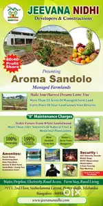 own sandalwood farm