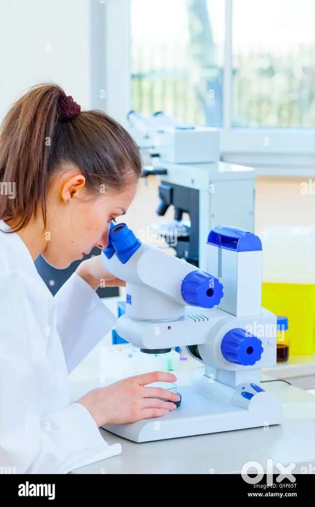URGENT REQUIREMENT  MLT  ( LAB TECHNICIANS FOR HOSPITAL / LABORATORY)