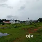 LAND FOR SALE IN AACHIPATTI