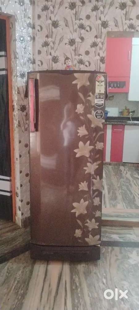 Godrej 246 litre in great condition