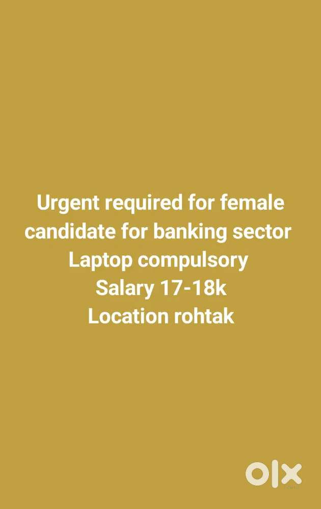 Job placement and consultancy services