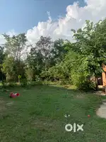 Huge ground 2 car parking lush green area nature friendly