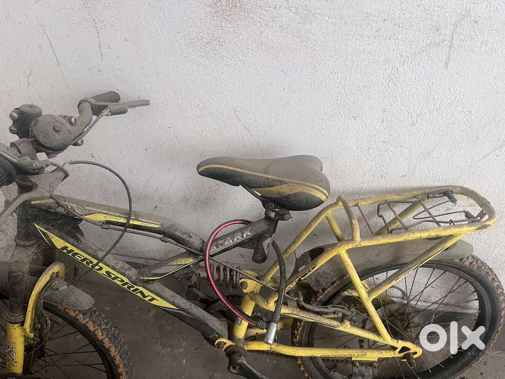 Gear Cycle for 7 years to 12