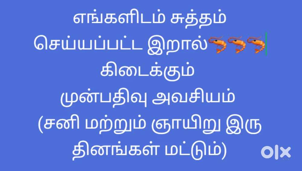 Cleaned prawns (சுத்தம் செய்யப்பட்ட இறால்)