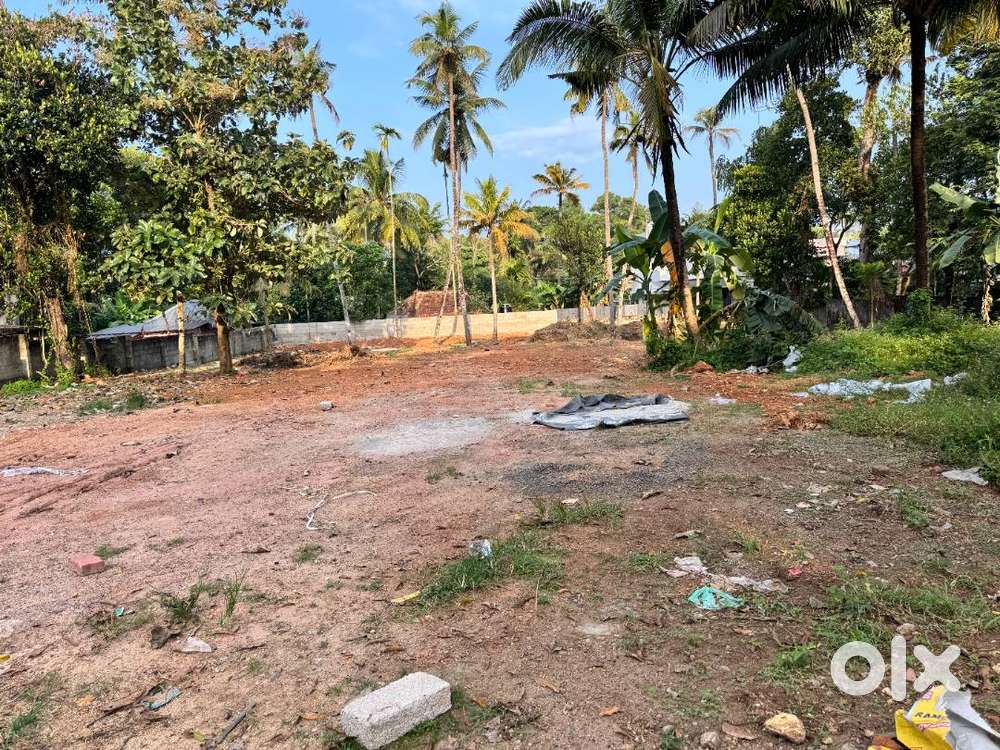 31 Cents land for  immediate Sale