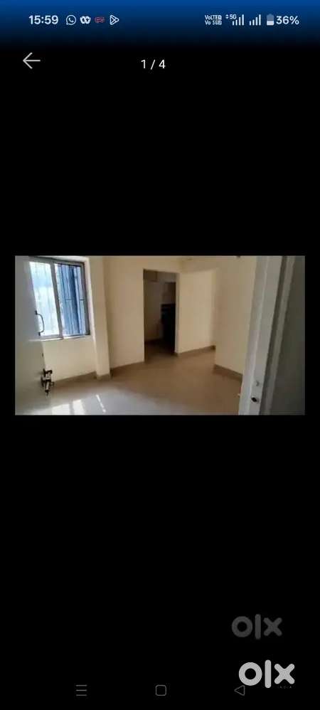 Looking for professional roommate