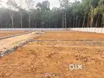 ANGAMALY - PEECHANIKKADU ഹൗസ് പ്ലോട്ടുകൾ സ്വന്തമാക്കാം