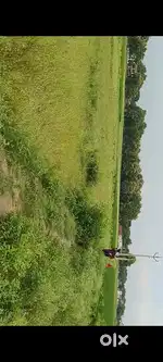 Agriculture land at good locaton. Good to investment or residence