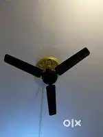 Ceiling fan (brand new)