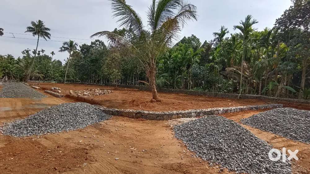 ANGAMALY  KARUKUTTY NEAR BY 4,5,6,8,CENT PLOTS AVAILABLE