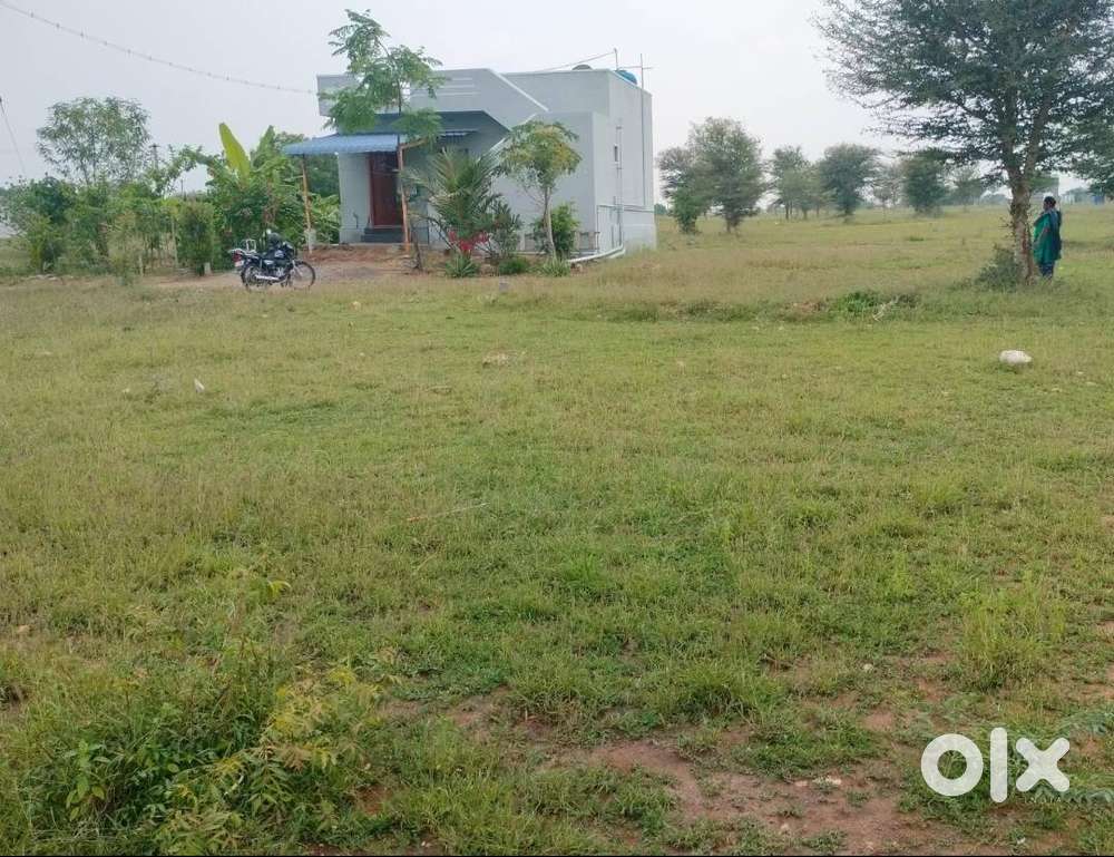 Kathalapatti pudur low budget flax