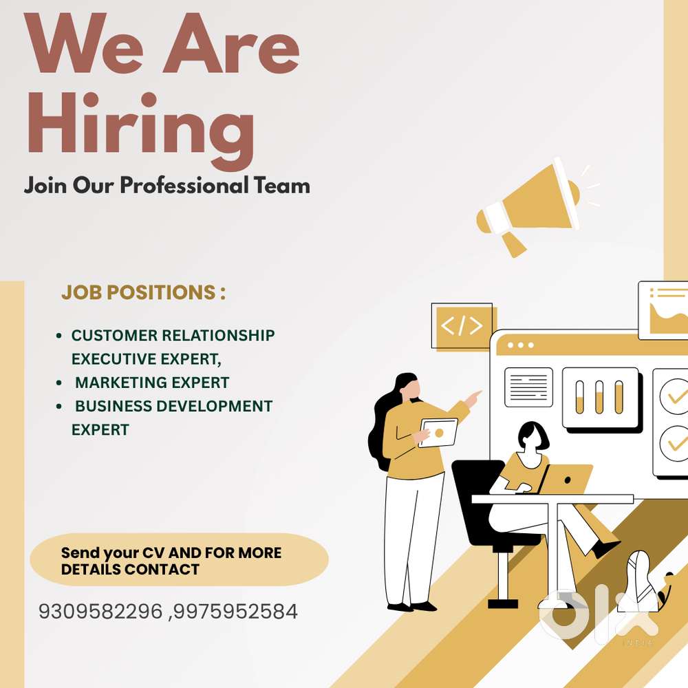 CUSTOMER RELATIONSHIP EXECUTIVE EXPERT