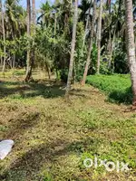 Land for sale in Thilannur Kannur