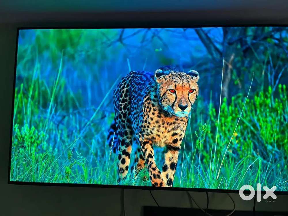 LG webos OLED 55inch