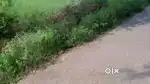 Agriculture land available near noida intenational airport yamuna exp.