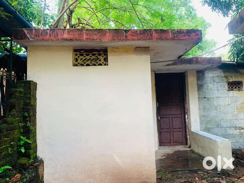 Near Thrissur Town or paturaikel center , daya hospital