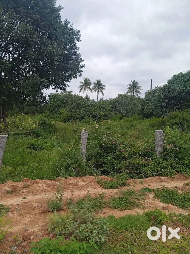 30*40, Near Kanipakam Plot location chigarapalli nearby six line bypas