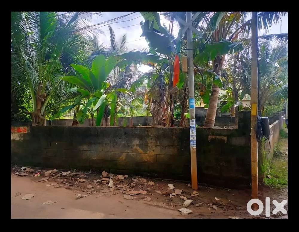 Mudavanmugal 4.5 cent Plot for rent