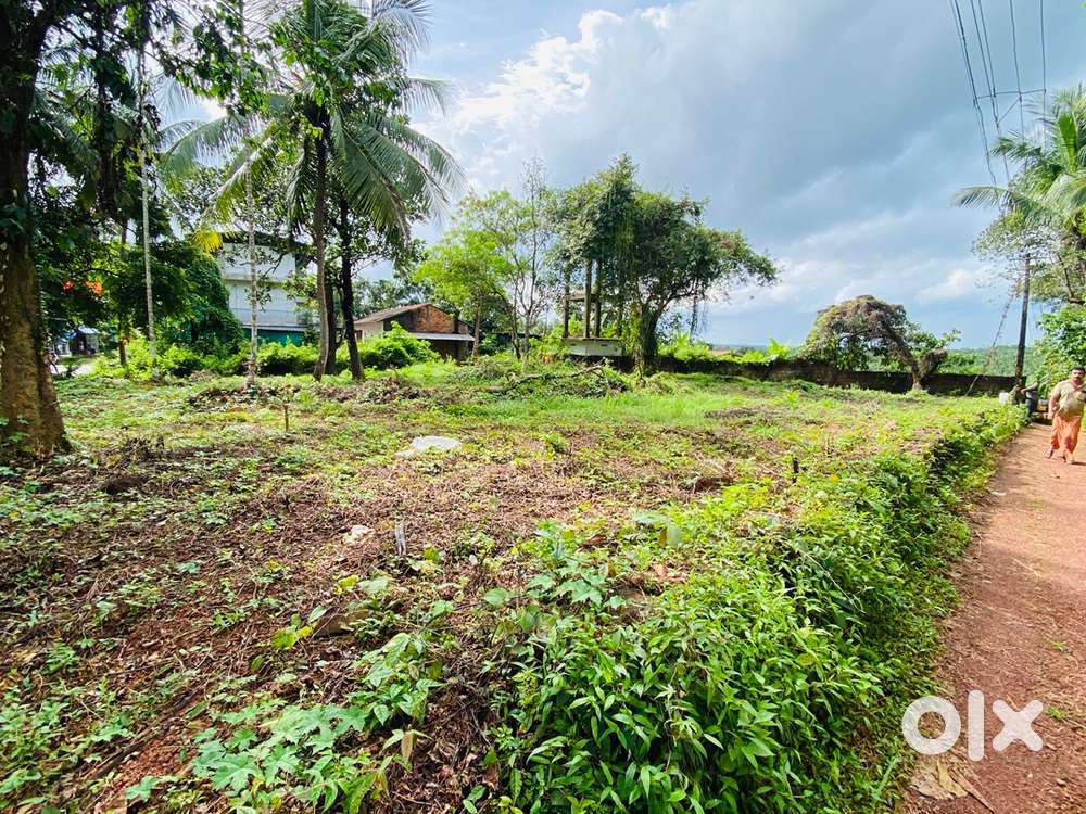 30 Cent Road Side Plot For Sale