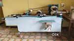 I want sale my semi automatic papad making machine