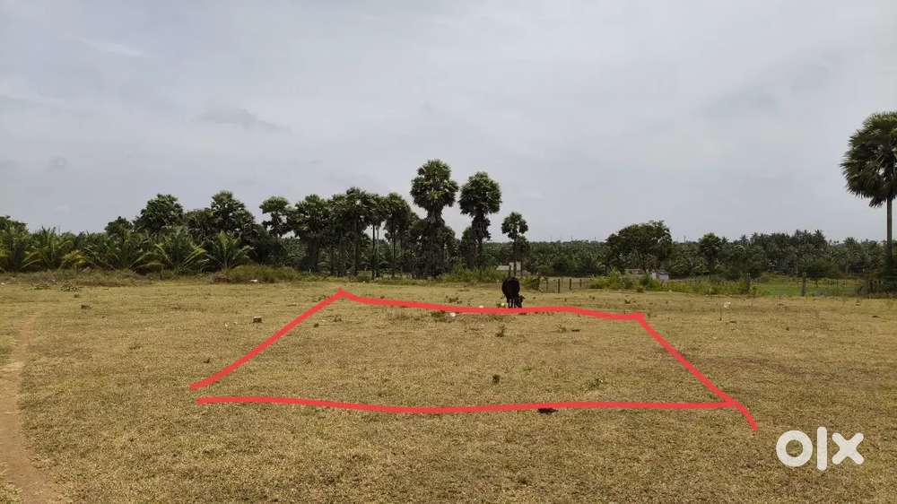 LAND FOR SALE NEAR VSB COLLEGE