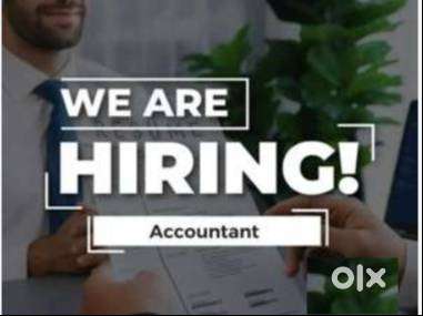 Executive- Accounts