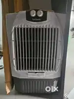 Hindware cooler