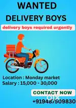 Courier delivery boy