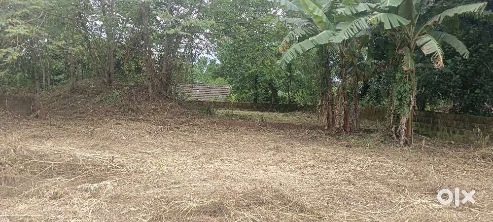 Kakkad, Near arayal thara, 350 MTRS away from main road.
