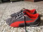 Puma shoes 3 years old