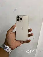 iphone13 pro max
